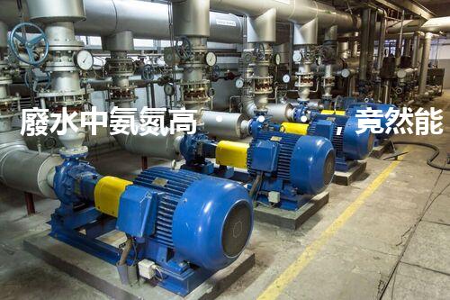 廢水中氨氮高，竟然能夠創(chuàng)造奇跡？！